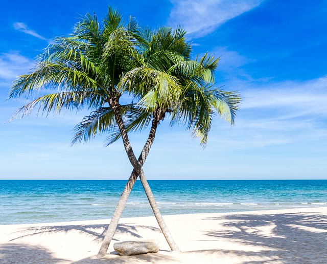 Oubliez les vacances classiques à la plage au soleil…